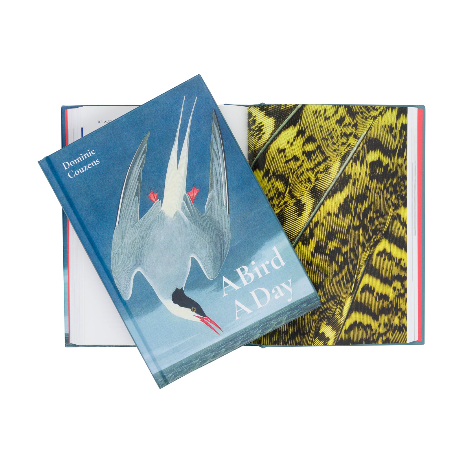 A hardcover book titled 'A Bird A Day' by Dominic Couzens, featuring a detailed illustration of a flying tern on the cover against a clean white background.