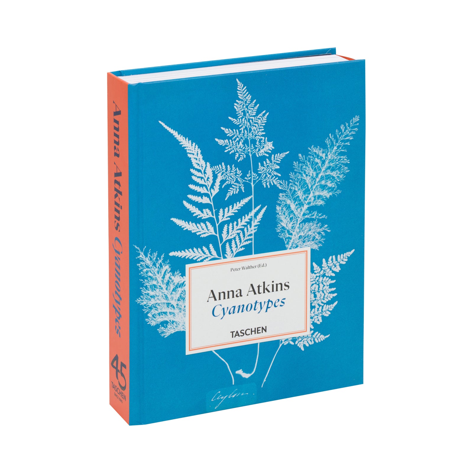 A cyanotype book titled 'Anna Atkins Cyanotypes' by Taschen, featuring a blue cover with white fern illustrations and an open view showing printed cyanotype pages with white plant prints on blue paper.