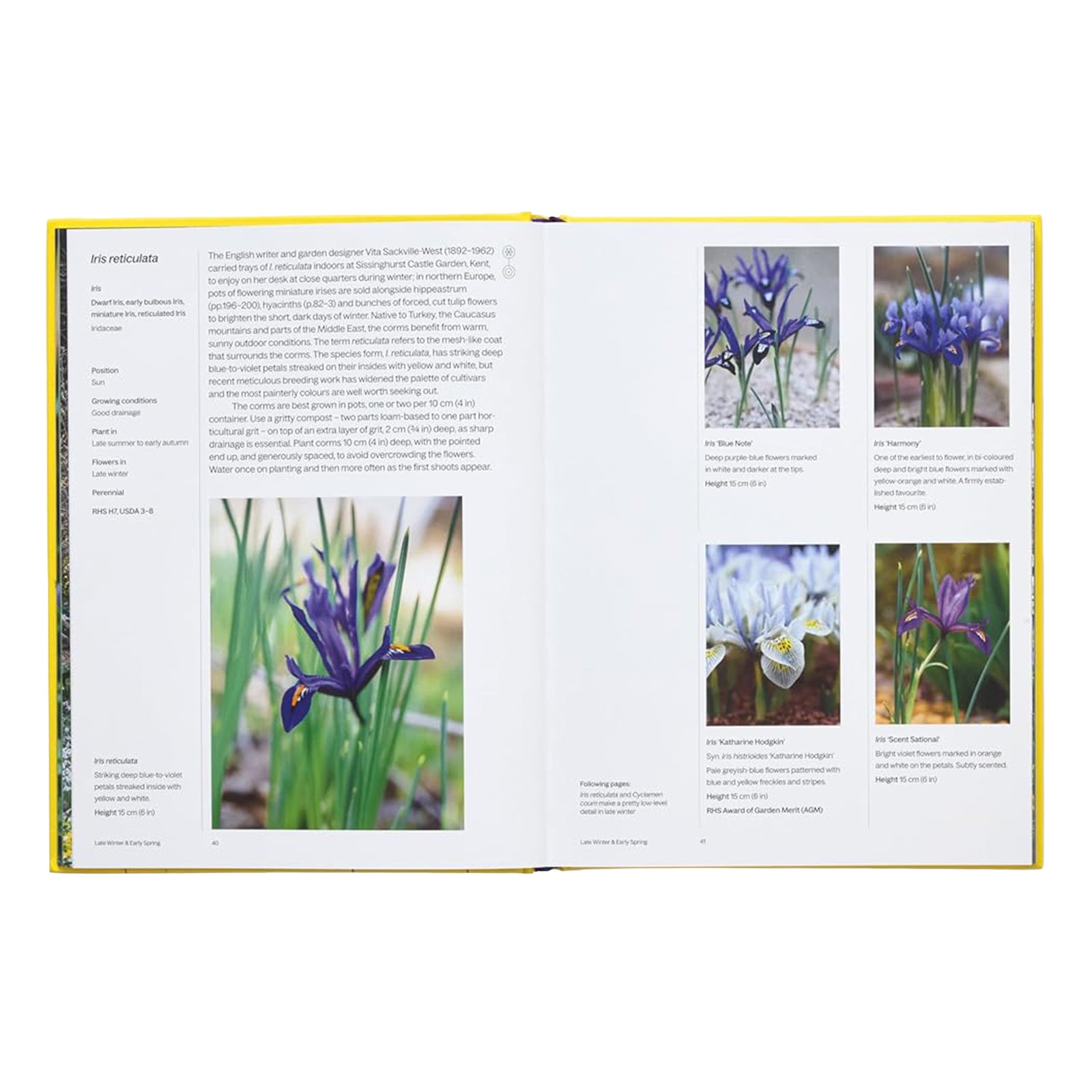Book titled 'A Year in Bloom' by Phaidon on a white background