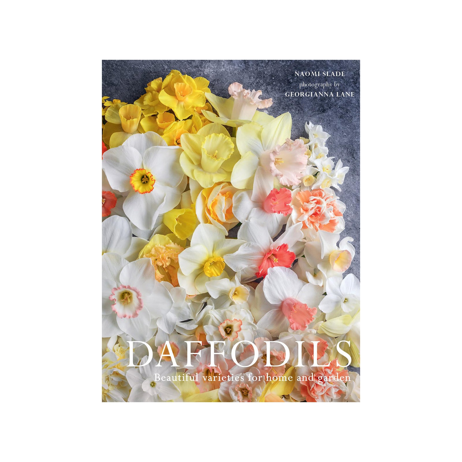 Book cover of 'Daffodils' with colorful daffodil flowers on a dark background