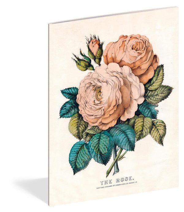 JOHN DERIAN EVERYTHING ROSES NOTEBOOK SET - The Huntington Store