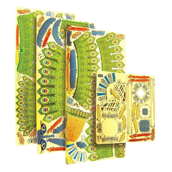 3D MODEL PEACOCK - The Huntington Store