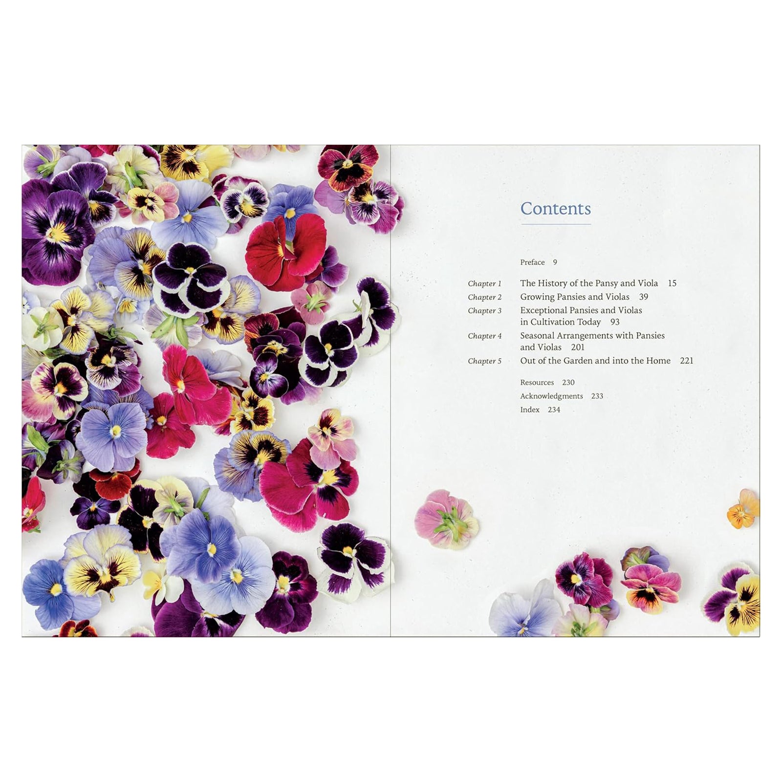 Book cover of 'Pansies' with a bouquet of flowers on a gray background