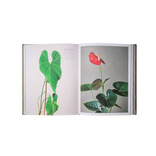 PLANTOPEDIA: THE DEFINITIVE GUIDE TO HOUSEPLANTS - The Huntington