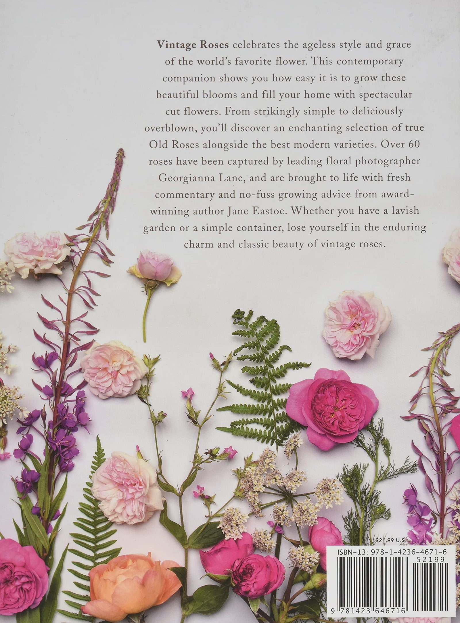 Book cover of Vintage Roses with pink roses and green leaves on a textured background.