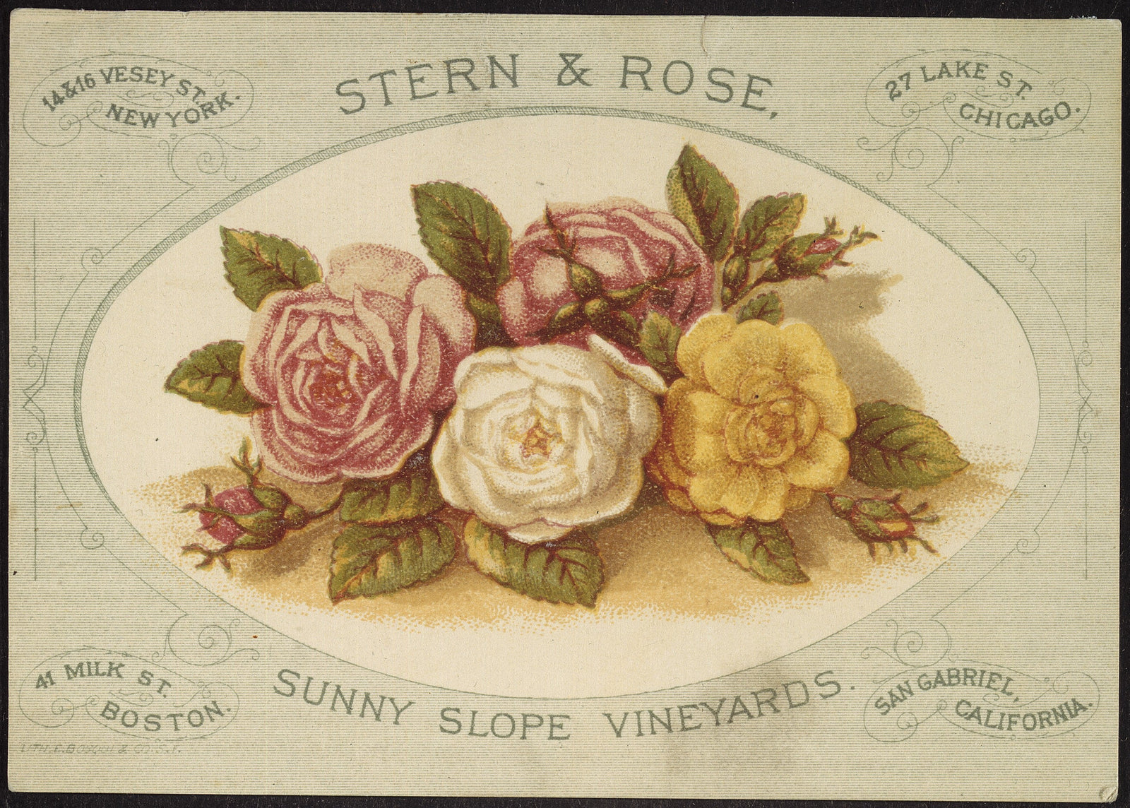 Vintage Roses