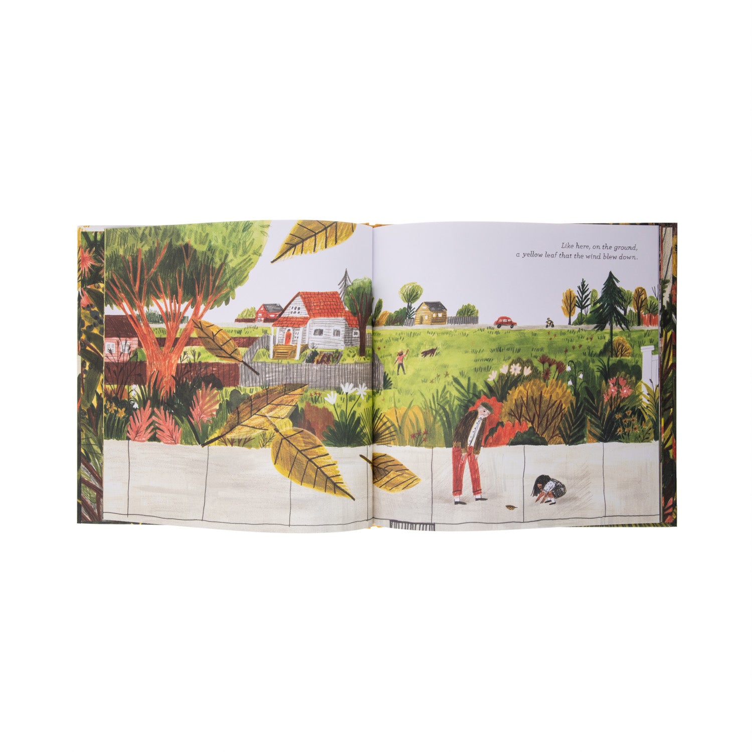 This is the story of a child and a grandfather whose walk leads to a day of discovering all sorts of tiny, perfect things together. With rhythmic storytelling and detailed illustrations, this book shows how curiosity can transform ordinary days into extraordinary ones. Hardcover. 40 pages. Ages 2-4. 10 x 0.4 x 9"