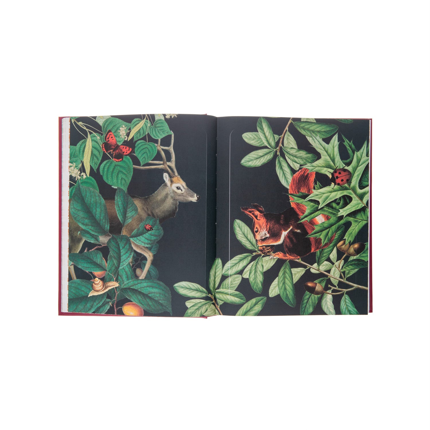Adorn your personal items with more than 1,000 images of forest life, including intriguing toadstools, elegant trees, and even fantastical elves and more. Create gorgeous artwork and stationery, or simply enjoy this book as an exquisite keepsake. Hardcover. 232 Pages. 7 x 1.25 x 8.94"