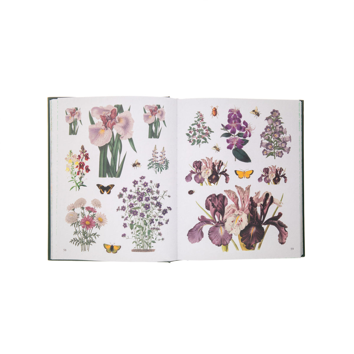 BOTANIST`S STICKER ANTHOLOGY