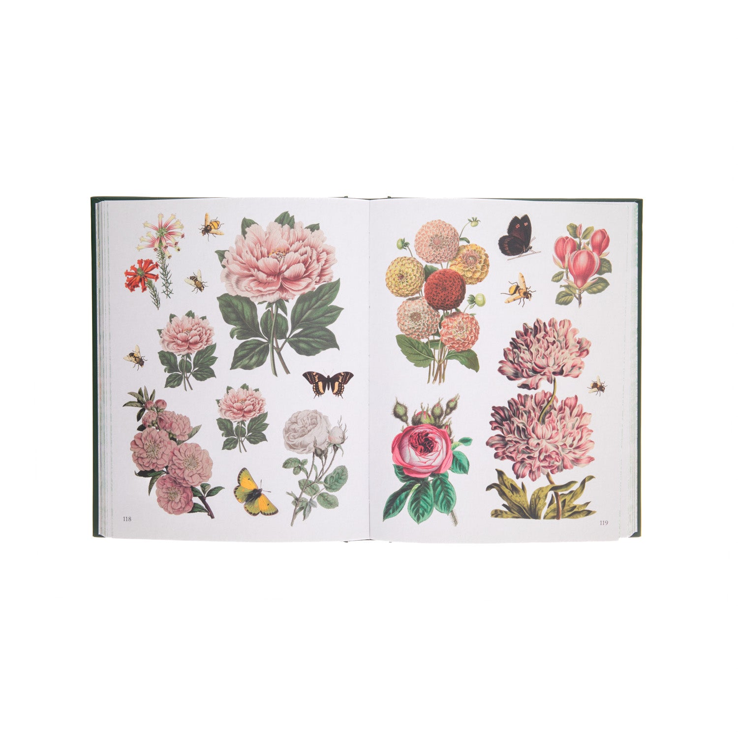 Get lost in the beauty of the natural world in this collection of botanical stickers. Page after page is packed with beautiful vintage drawings of exotic plants and fungi. Use the stickers for scrapbooking, stationery, and artwork or as an exquisite keepsake. Hardcover. 323 pages. 7 x 1 x 8.8"