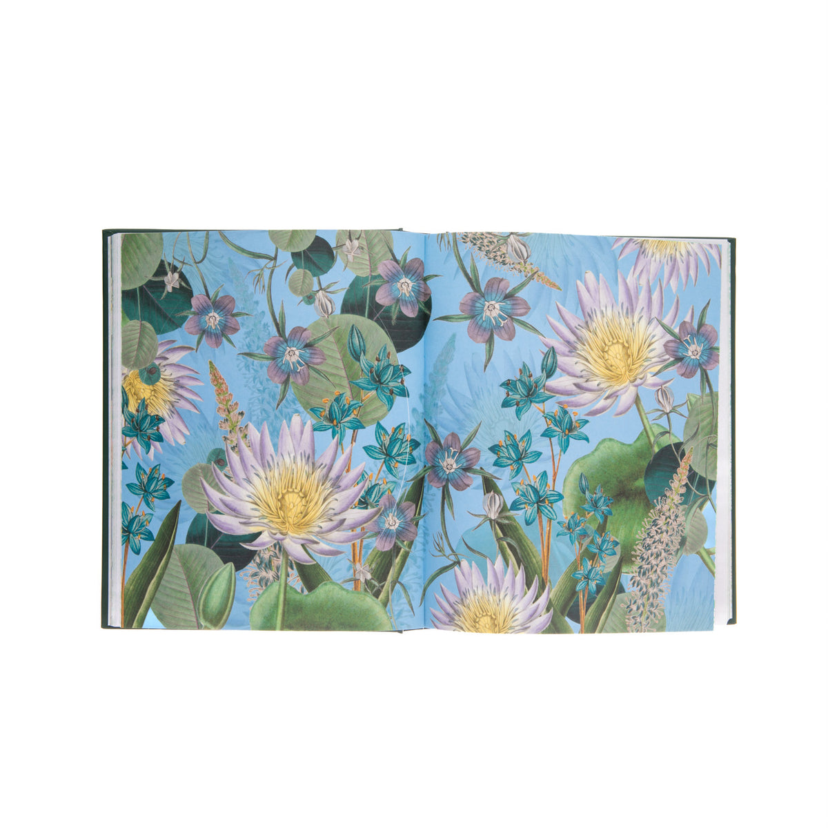 BOTANIST`S STICKER ANTHOLOGY