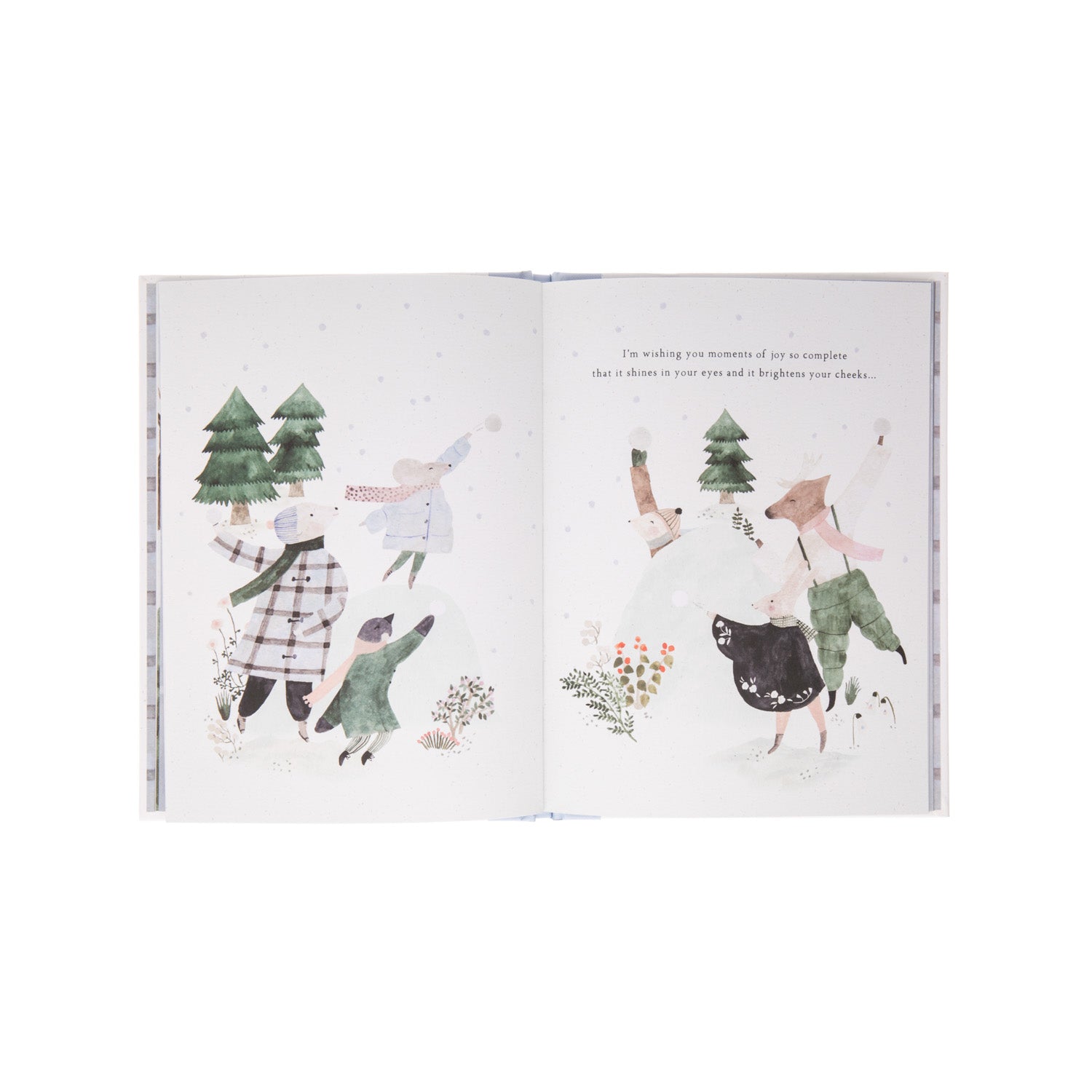 This illustrated gift book celebrates the wonders of winter and your heartfelt desire for a dear friend to experience them all. 