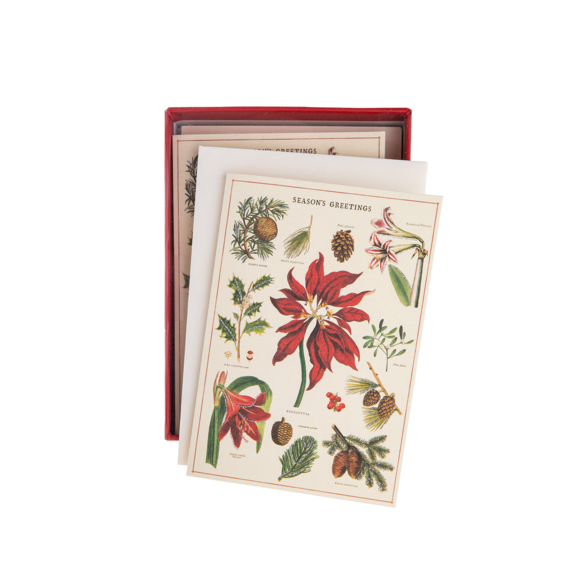 These boxed notecards help simplify your Christmas mailing. They contain ten cards featuring glitter-detailed vintage images from the Cavallini archives.