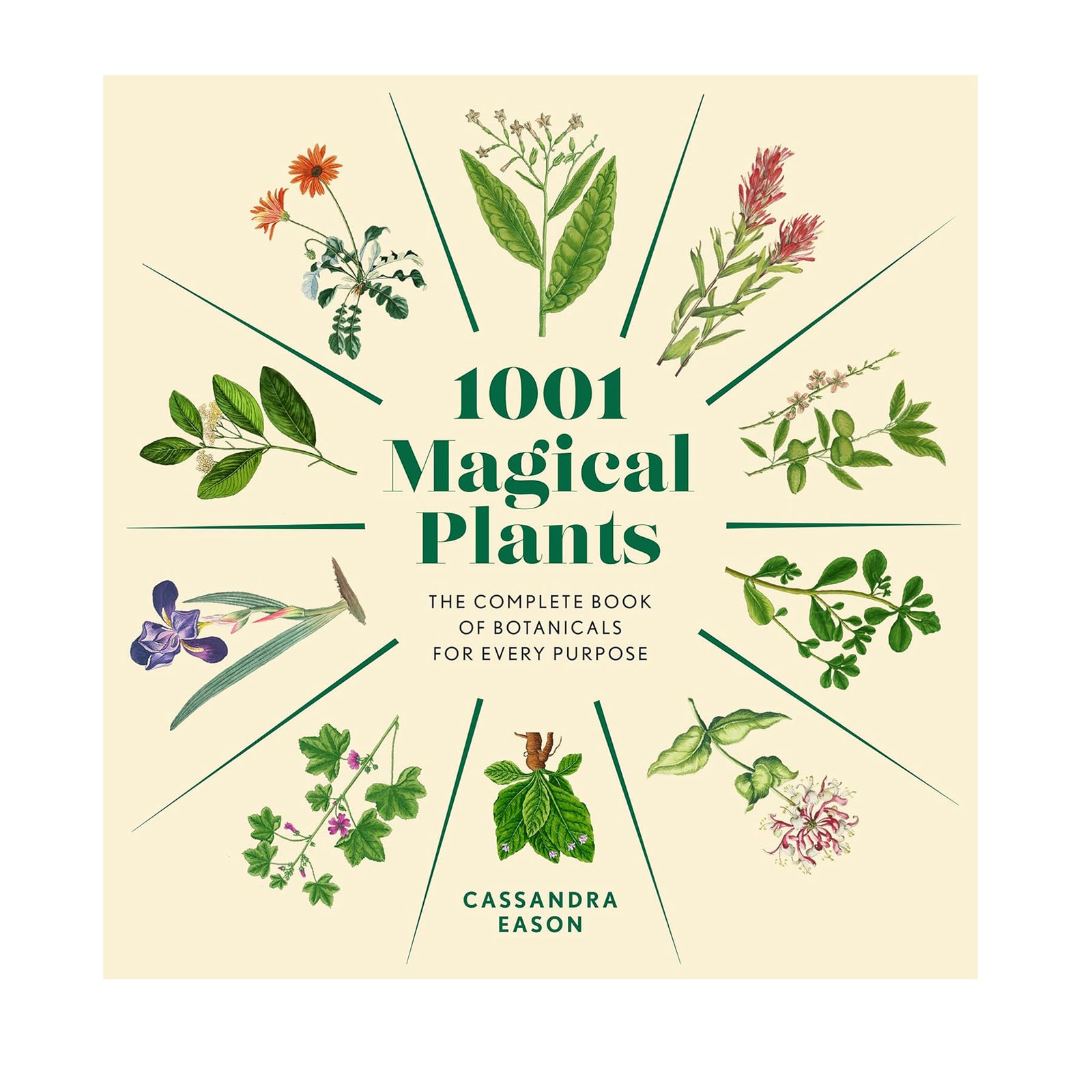 Book cover of '1001 Magical Plants' with illustrations of plants on a beige background