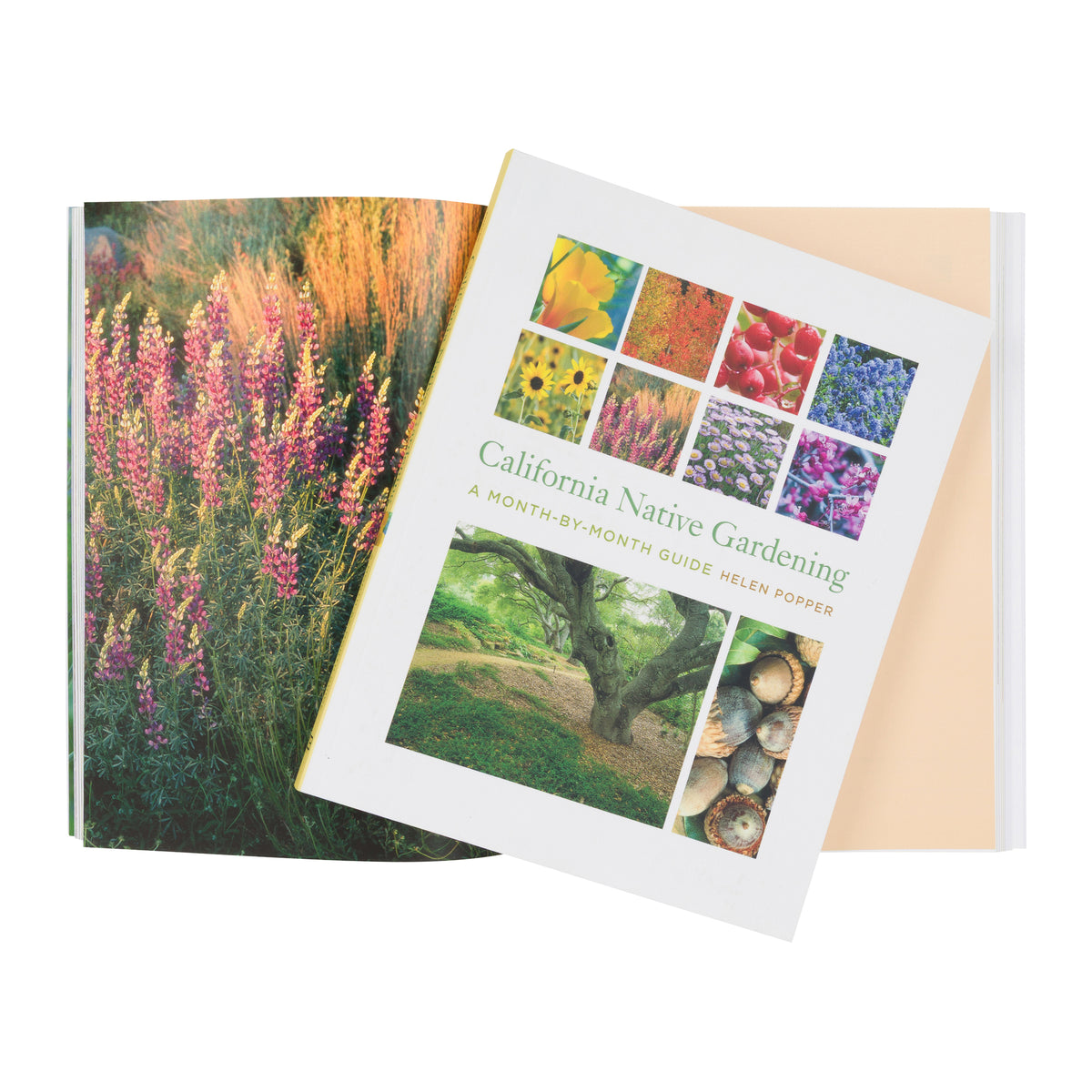 Book cover of 'California Native Gardening' with images of plants and nature.