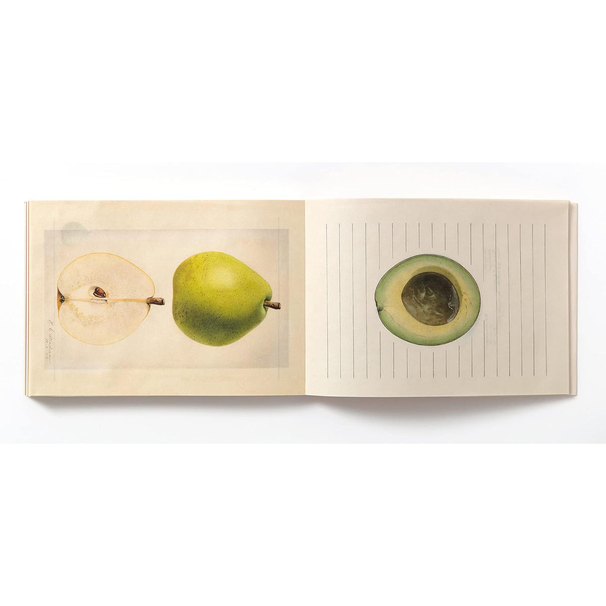 100 WRITING & CRAFTING PAPERS OF FRUIT