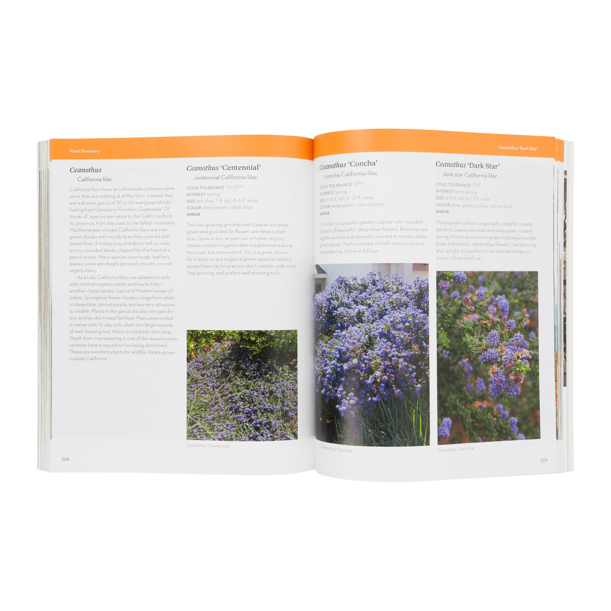 HOT COLOR, DRY GARDEN: INSPIRING DESIGNS AND VIBRANT PLANTS FOR THE WATERWISE GARDENER