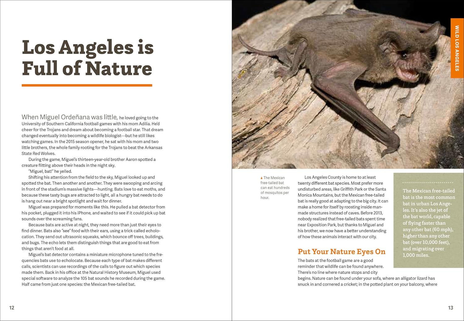 Wild LA is the guidebook to exploring the nature in and around Los Angeles. From experts of the Natural History Museum, read about the mammoths discovered under Wilshire Blvd, to the critters around Griffith Park. A great gift for nature enthusiasts, hikers, and all plant and animal lovers. 288 pages Paperback