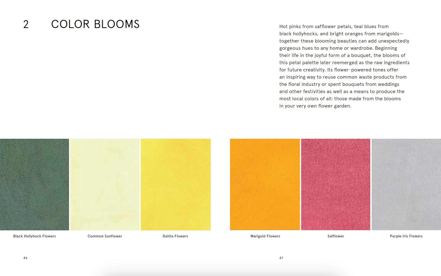 Based Color NATURAL PALETTES: INSPIRATION FROM PLANT-BASED COLOR - The Huntington Store