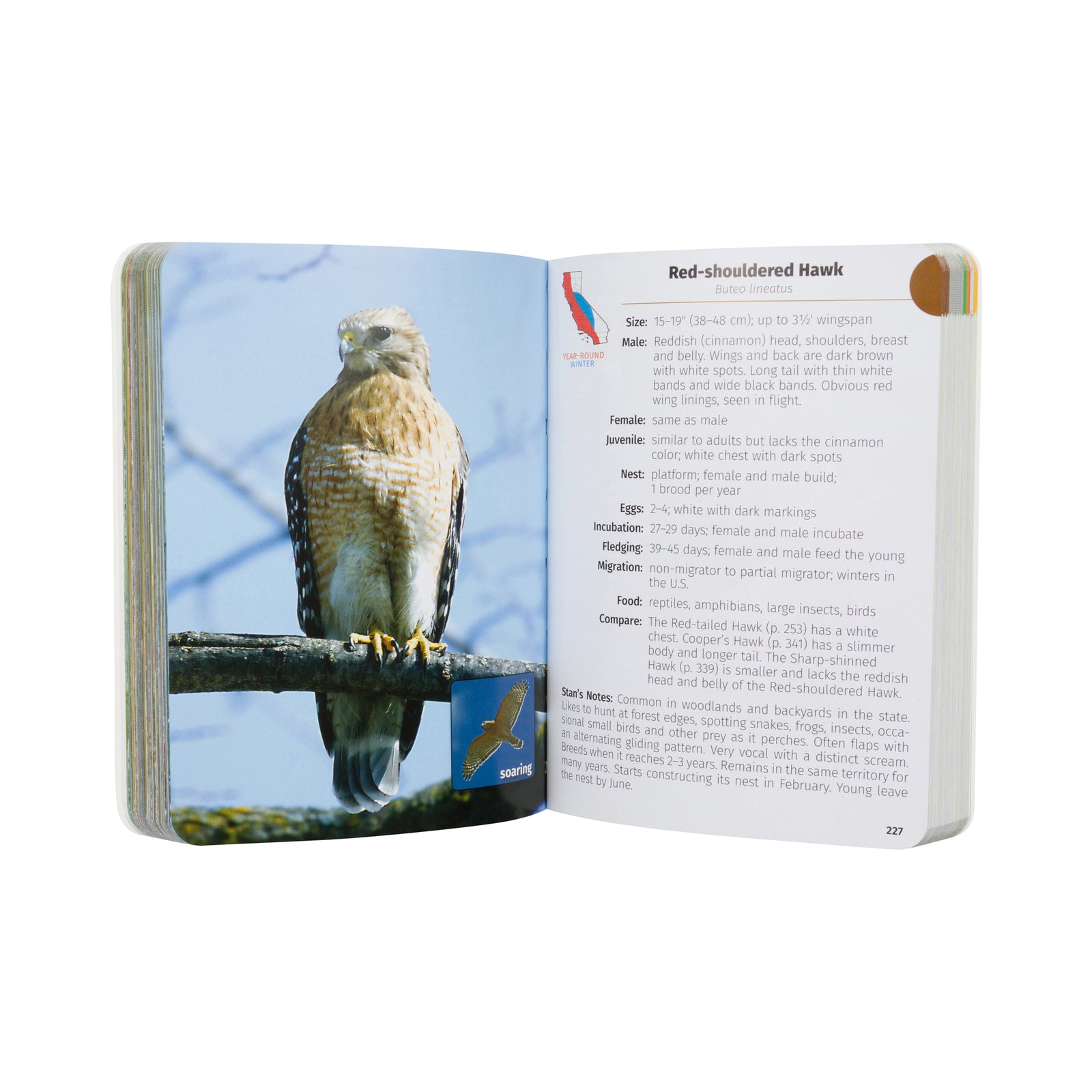 Book titled 'Birds of California Field Guide' with a blue bird on the cover