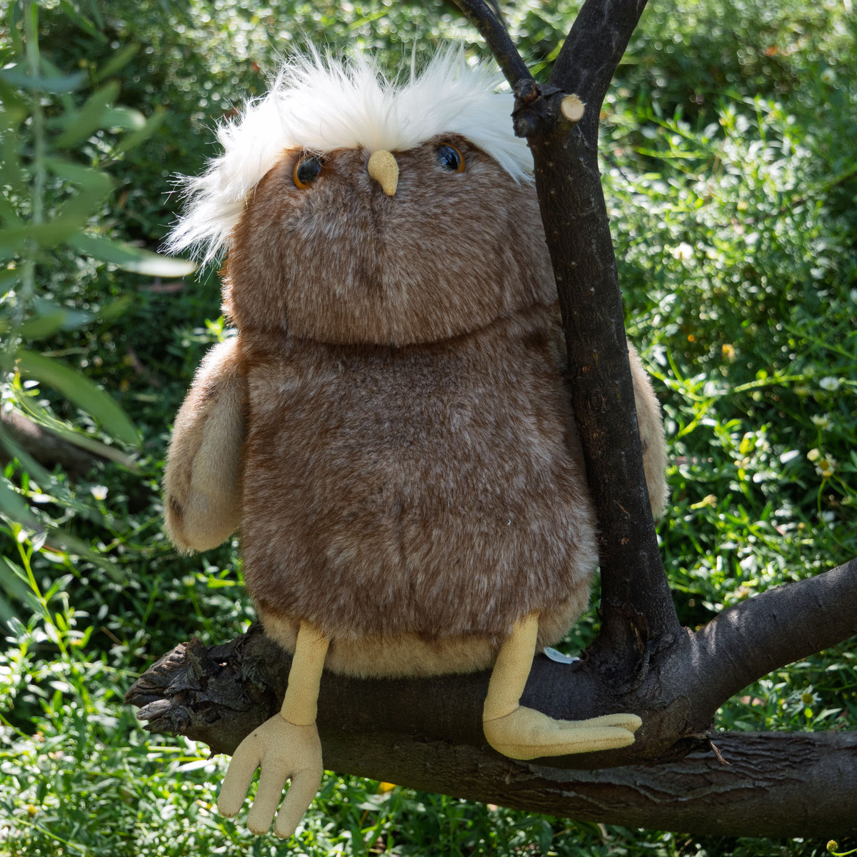 TAWOOLA OWL