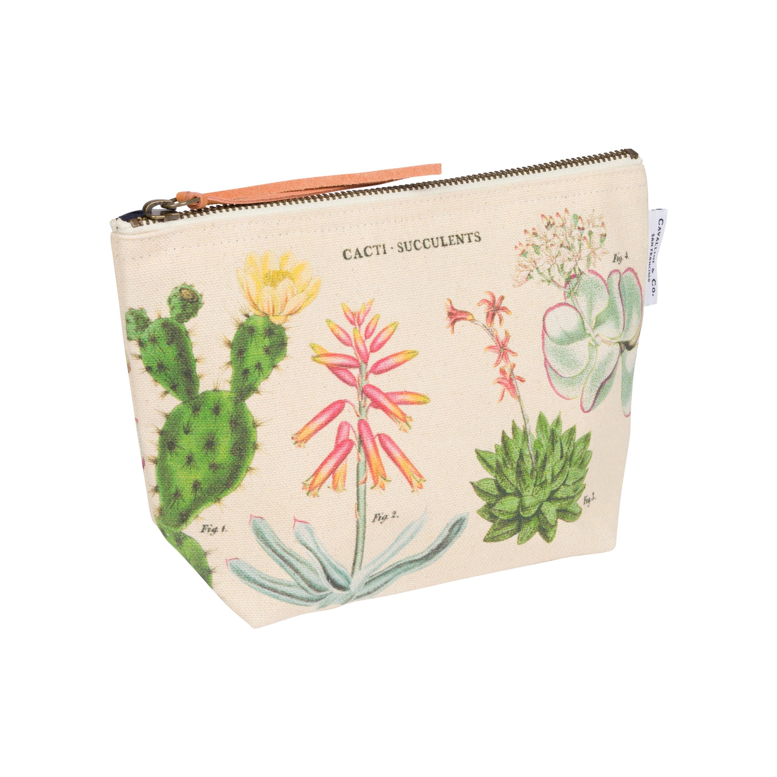 Pouch with cacti and succulents illustration on a beige background