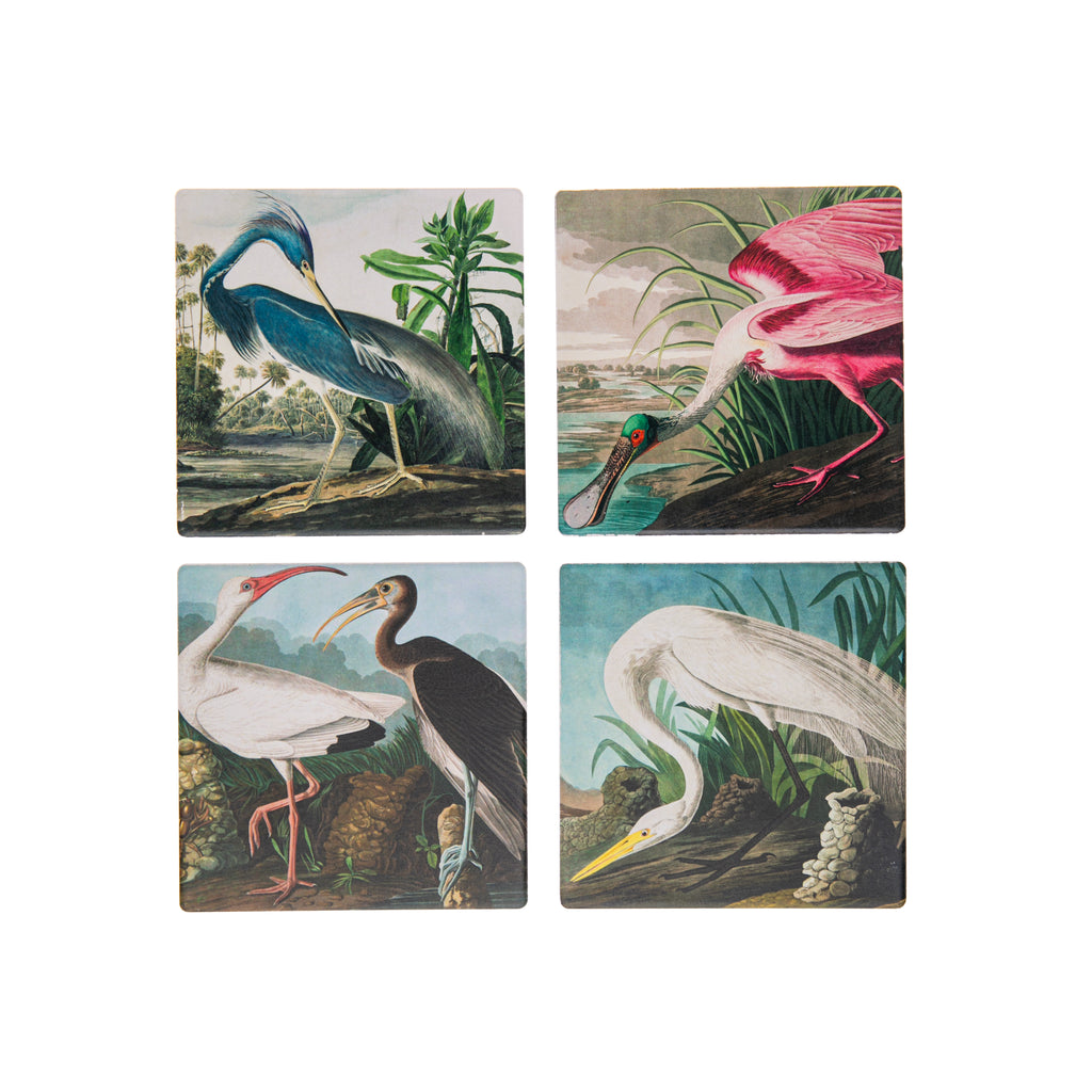 John Audubon set out to identify and meticulously portray 435 different birds, which he believed were all the species found in the United States and its territories. The large format was chosen so that he could render the birds life-size. This set of four store coasters features four 'Audubon birds'.  4"x4".