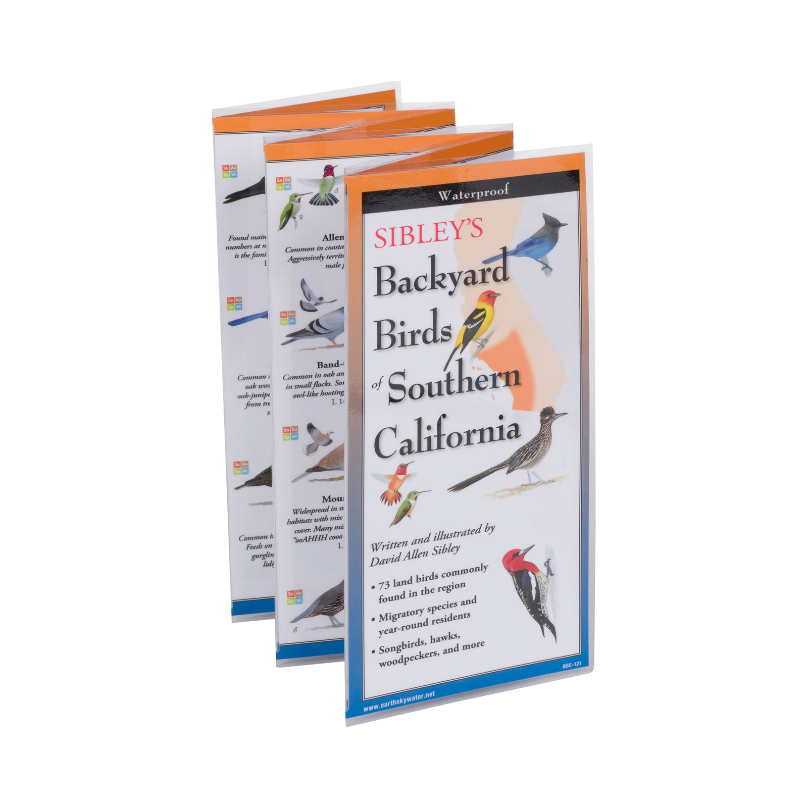 Book cover of 'Sibley's Backyard Birds of Southern California' with bird illustrations and text.