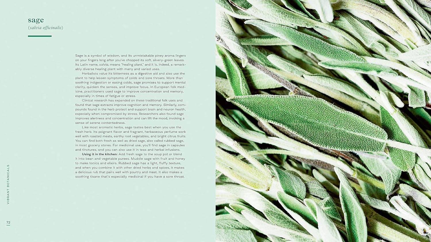 Vibrant Botanicals contains recipes using adaptogens, herbs, and botanicals that may be able to heal, energize, and calm. Jennifer McGruther guides readers through the properties of herbal energetics and how to extract their benefits into tinctures, infused oils, teas and tisanes, vinegars, and more. 240 pages 