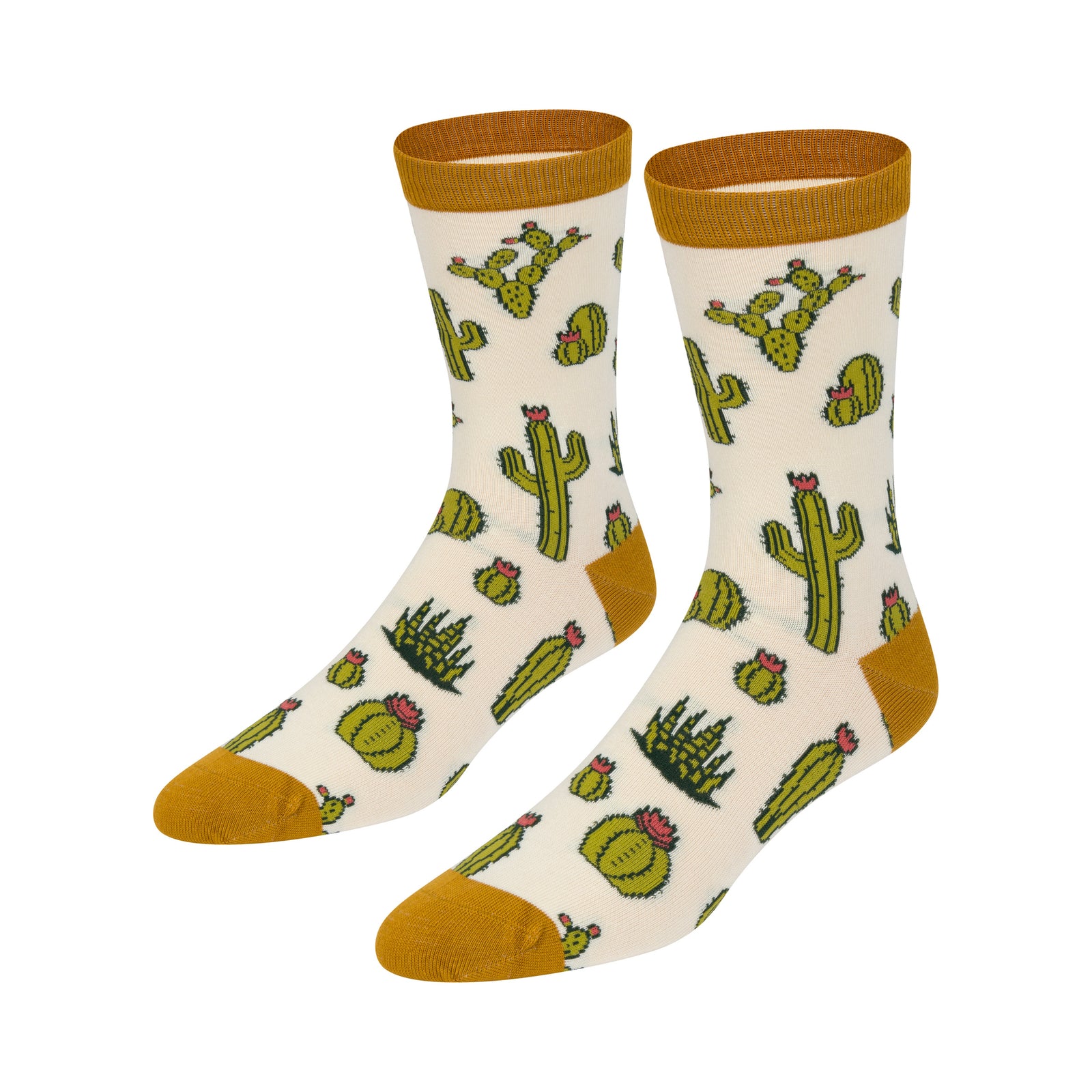 Pair of socks with cactus pattern on a white background