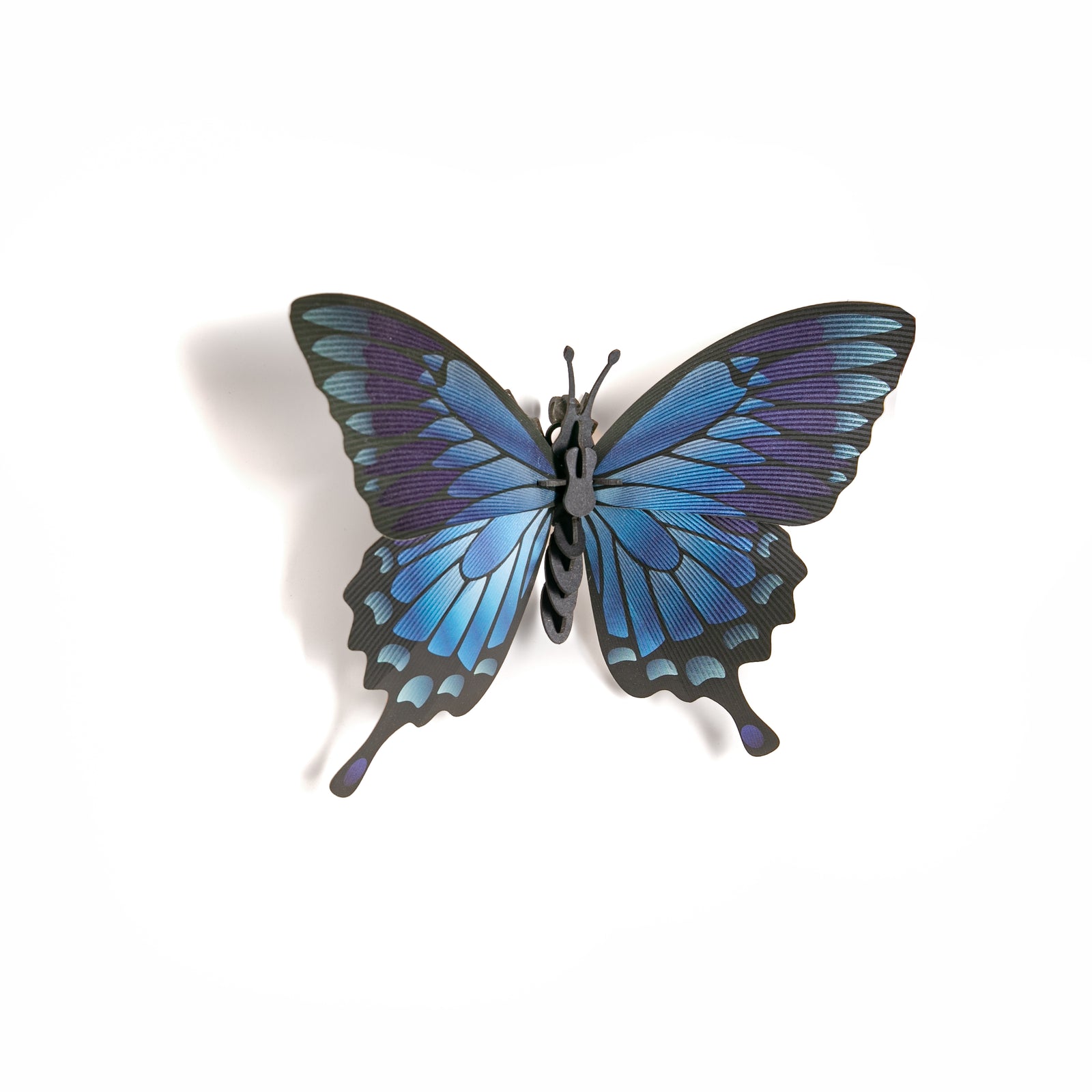 Create an eye-catching decor piece with this 3D paper butterfly craft kit. Building this butterfly is a great indoor activity for all ages. Once constructed, your striking art piece can be displayed as is, or you can mount it in a shadow-box frame. Dimensions: 7" x 5".