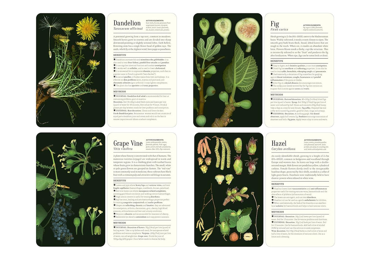 50 PLANTS THAT HEAL CARD DECK