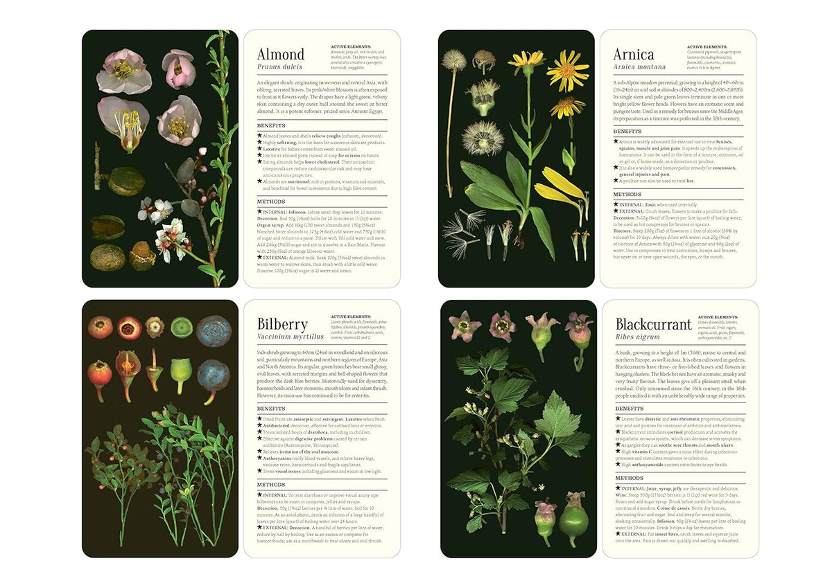 50 PLANTS THAT HEAL CARD DECK