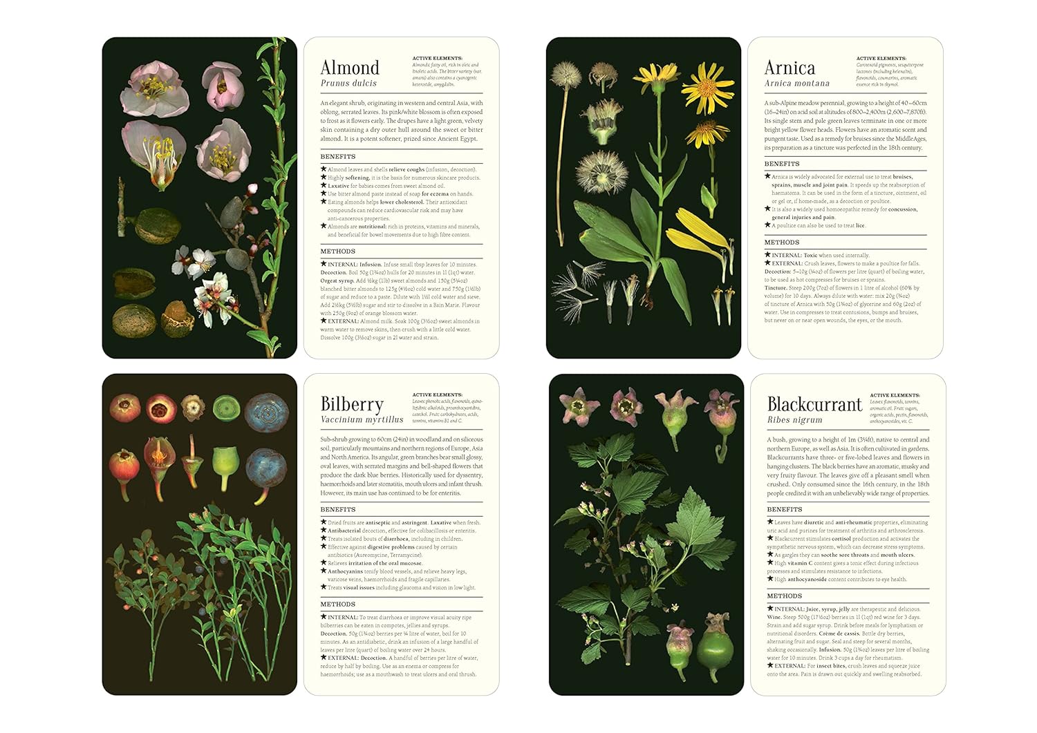 Card deck packaging titled '50 Plants That Heal' with floral designs on a white background