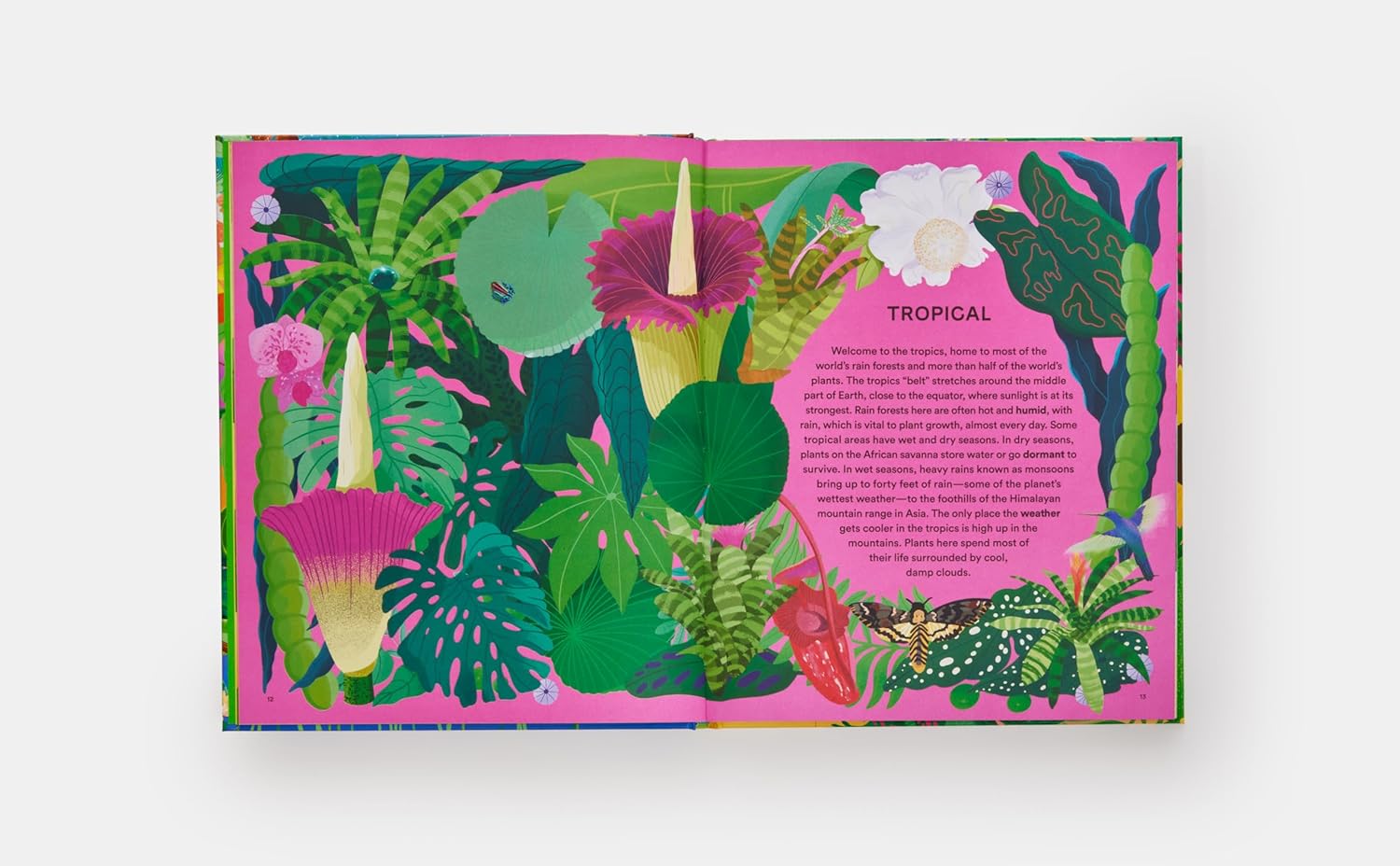 A colorful book cover for 'A HOME FOR EVERY PLANT' featuring illustrations of various plants and a vibrant, patterned background.