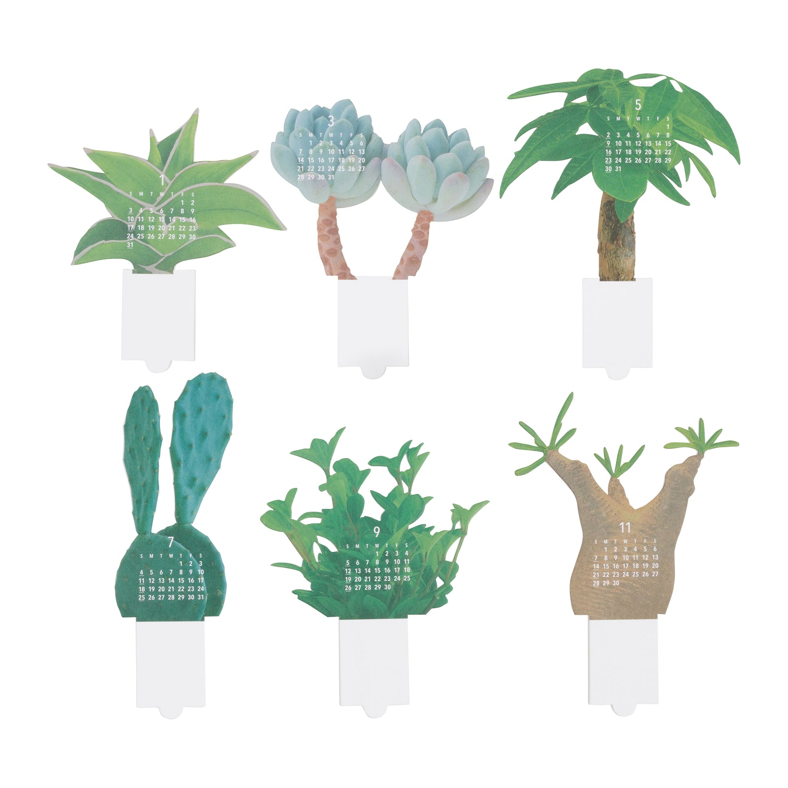 A 3D paper calendar featuring a cactus design, shown next to its white product packaging box. The calendar is made of brown and green paper, standing in a white plastic pot, with the calendar page showing the number 12.