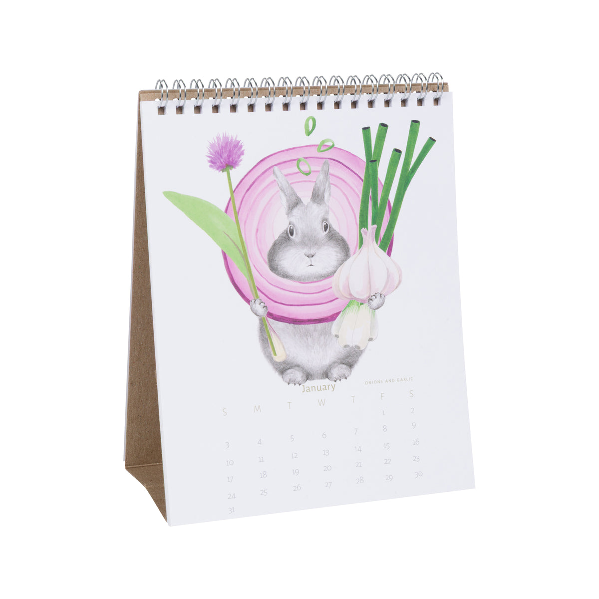 HOPPING AROUND THE FARMERS MARKET 2027 DESK CALENDAR
