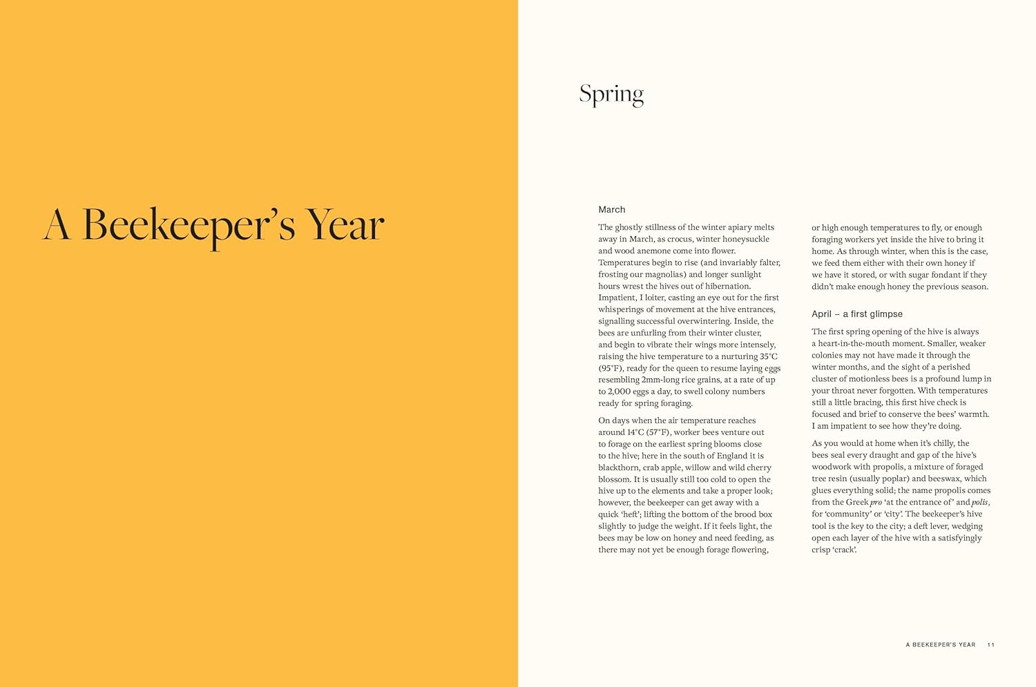 Written by an actual beekeeper, this book is great for learning about bees and how they make honey while incorporating cooking with honey. With photography and recipes from garlic honey to Miso Sourdough to Saikyo Salmon, as well as mixed drinks, this book also covers the beekeeping process.  256 pages Hardcover