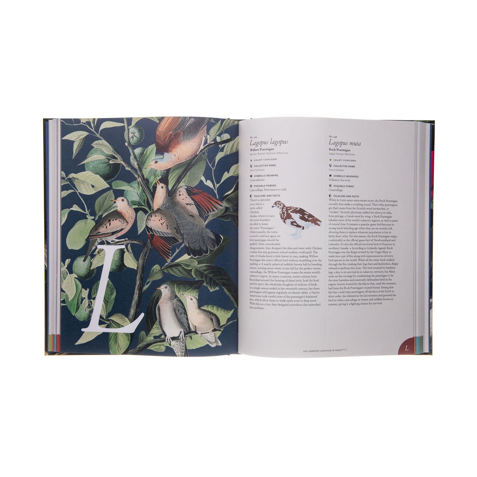 Whether you're a casual bird enjoyer or a birdwatching pro, The Complete Language of Birds is a definitive history and guide on our feathered friends.