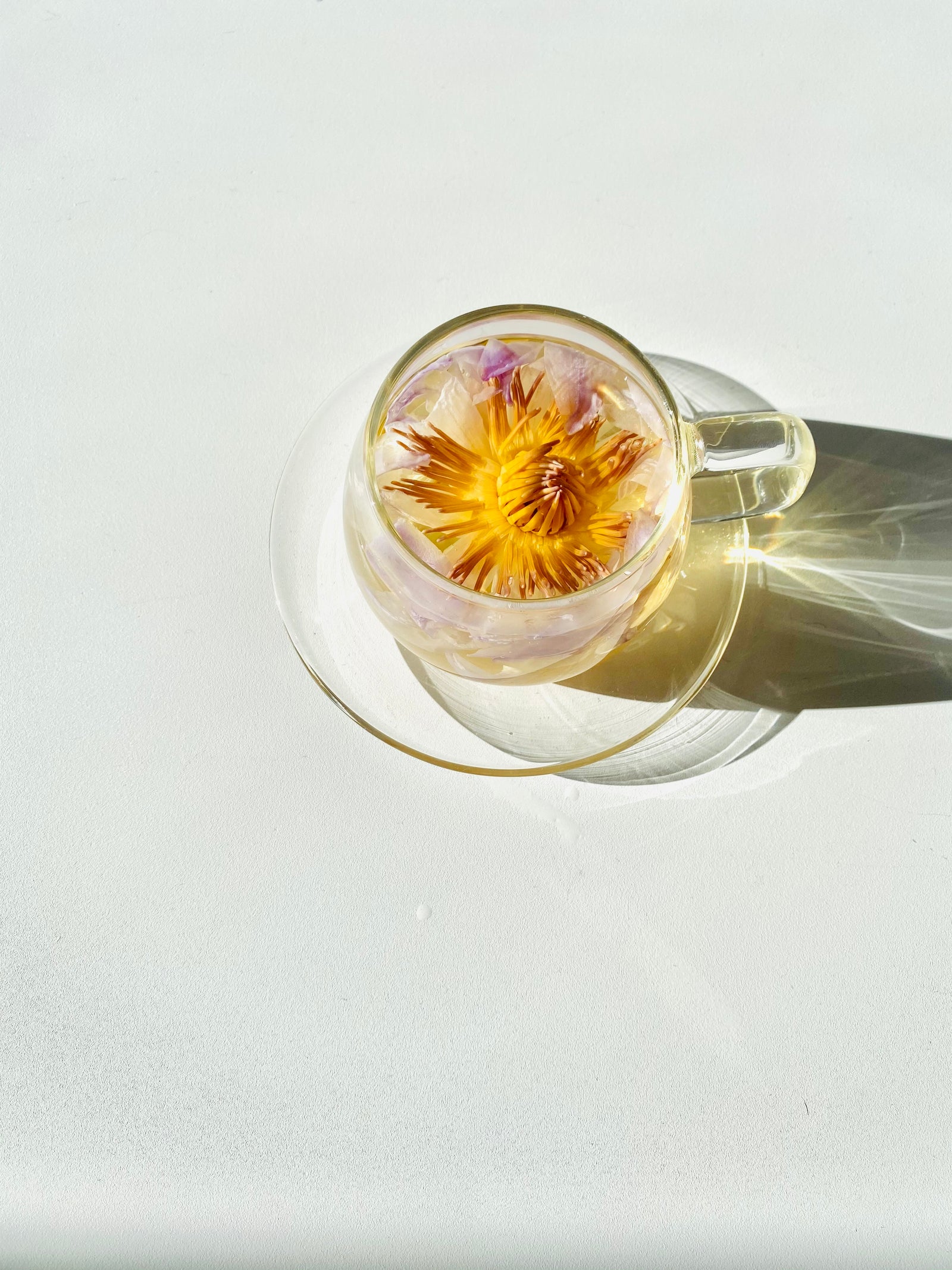 This tasty and stunningly beautiful whole-flower tea is the purest floral tea you will ever taste. This handy sampler box allows you to try three of the most popular floral flavors, containing one flower pocket of Shangri-la Rose, Royal Chrysanthemum, and Blue Lotus. 