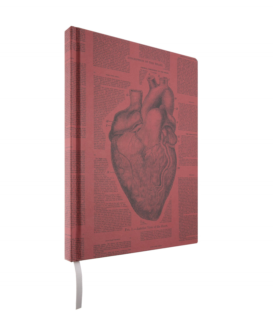 Here's a notebook as bold and courageous as you. With an illustration of an anatomical heart and black-lettered medical text on a red-blooded background, this journal begs to be filled with anatomy notes, lab data, and more. 192 pages (96 sheet) notebook. Lined and 5mm square grid pages. 7" x 9".