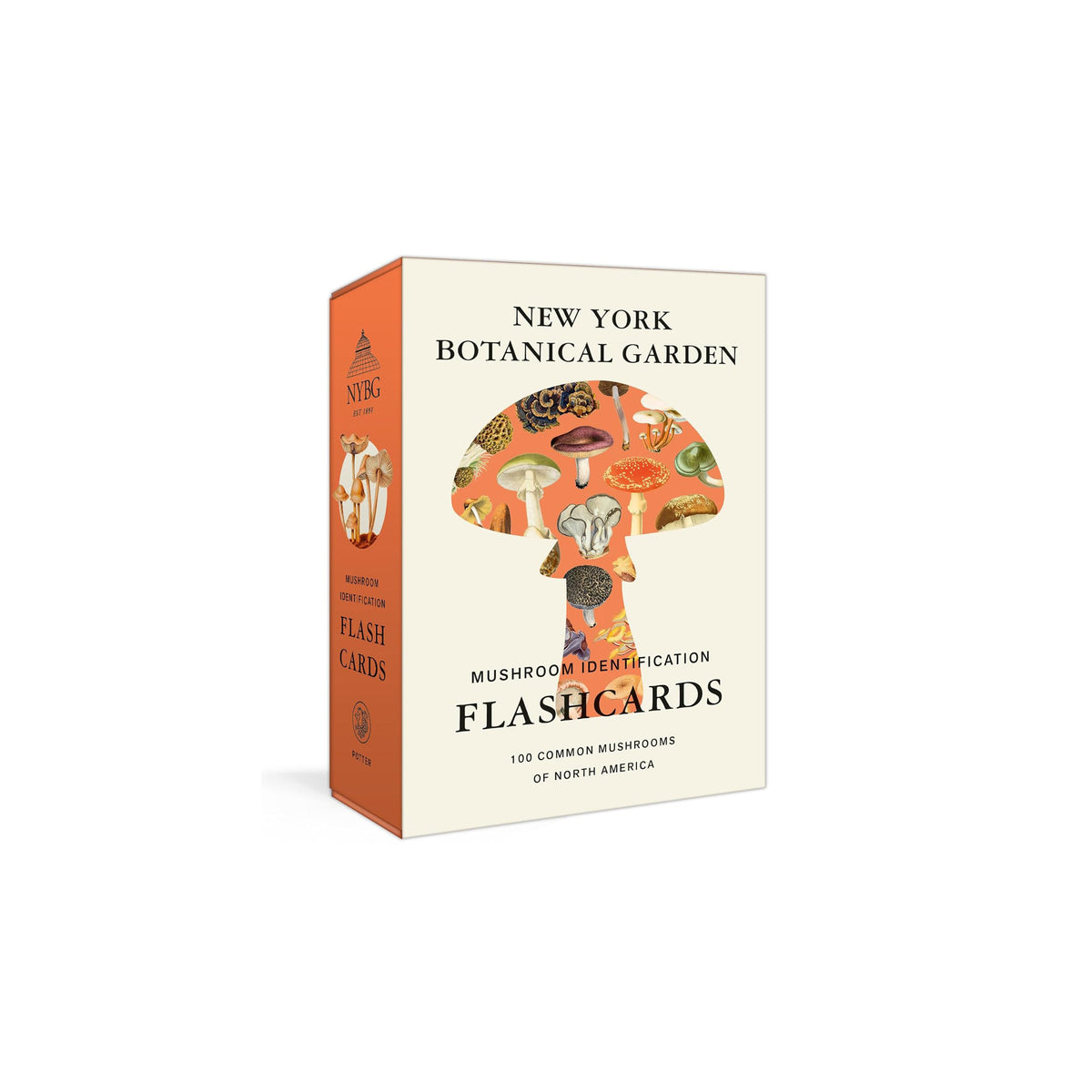 Box of New York Botanical Garden mushroom identification flashcards on a white background