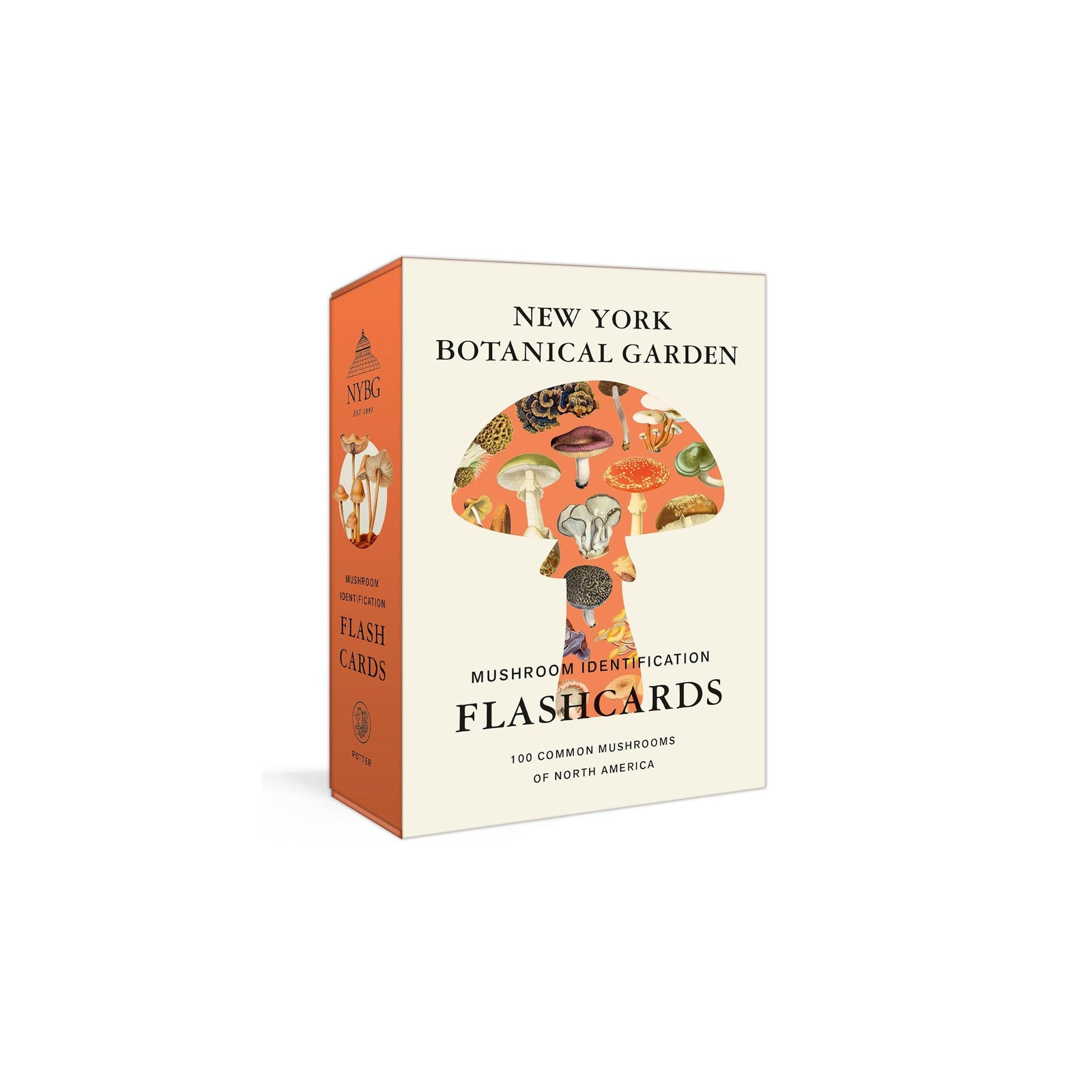 Box of New York Botanical Garden mushroom identification flashcards on a white background