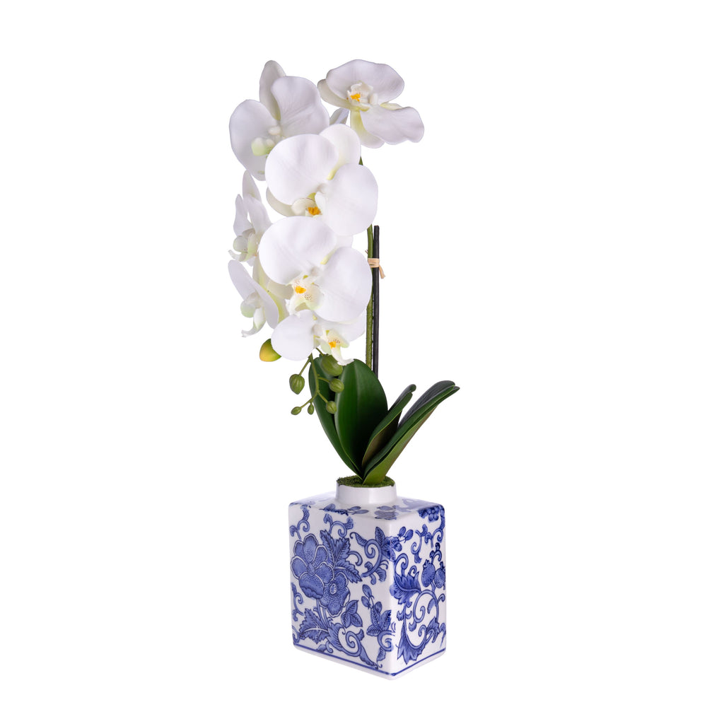 This Orchid Phalaenopsis may look like the real thing, but it is actually a faux orchid! In a blue and white ceramic pot, this sophisticated orchid would look stunning as a centerpiece for your dining table, or as a gift for a loved one. Faux orchid in ceramic pot Dimensions: 21.5" H (total), base: 5" W x 5.5" H