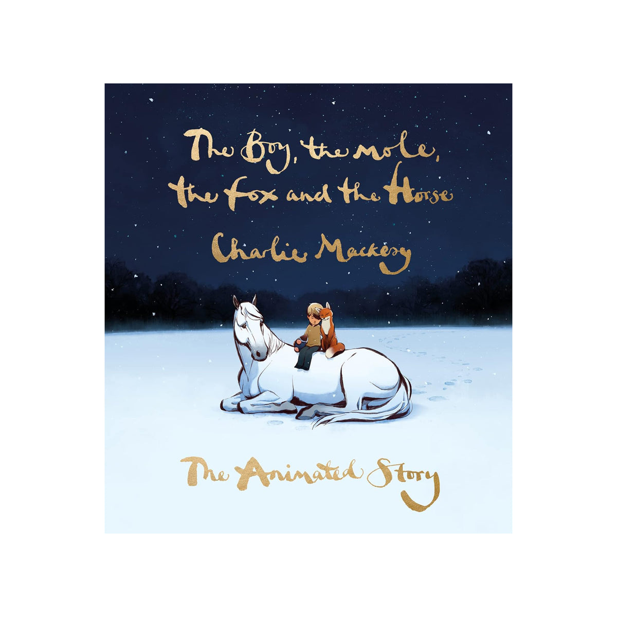 Illustration of a boy and a mole sitting on a horse looking at the sky with stars.