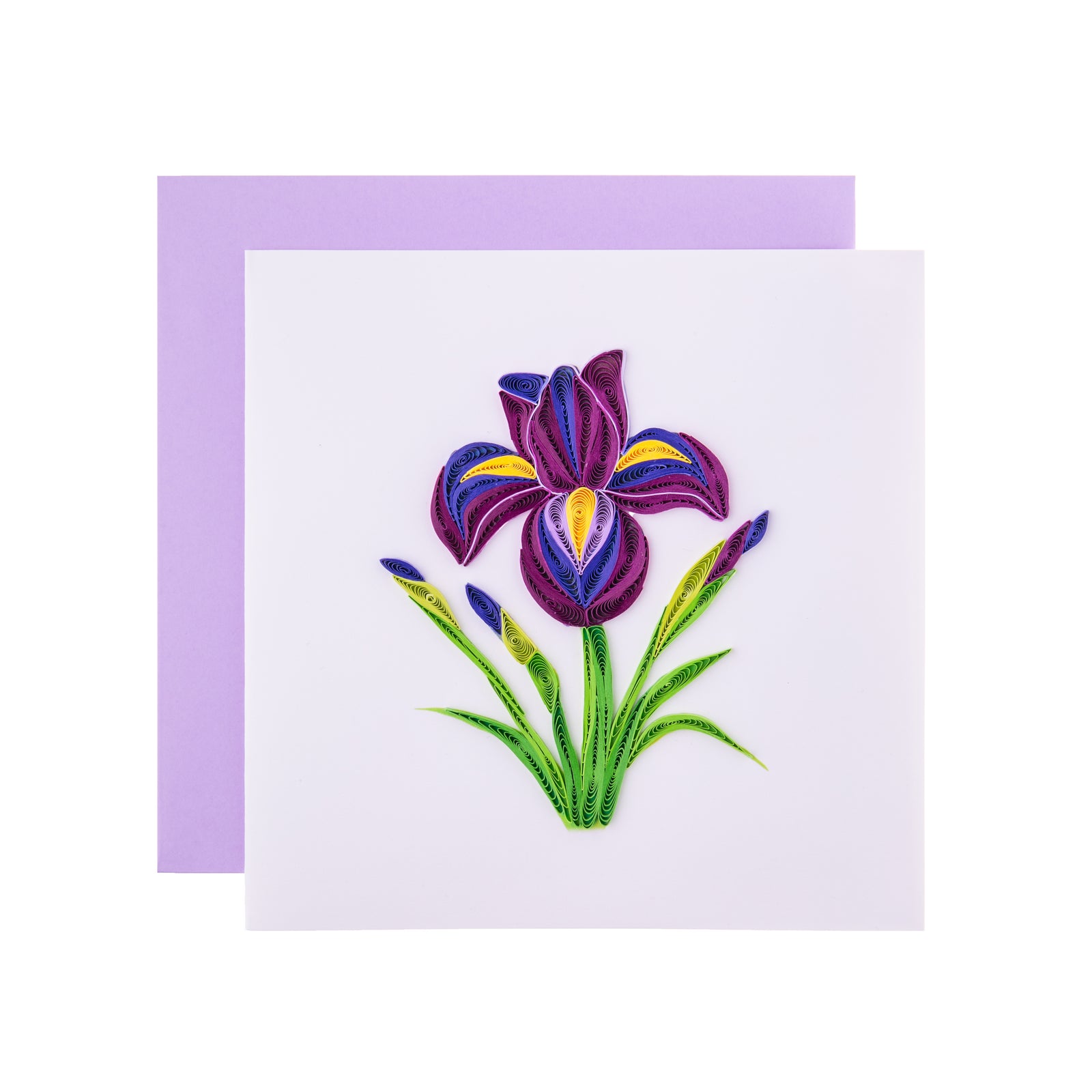 Purple irises represent wisdom and royalty. Grab this card for a message of wisdom to a loved one, or just for a note to remind them how magnificent they are. Each quilled card is handmade by a skilled artisan. Outside Copy: Blank Inside Copy: Blank plus additional blank insert for your own message Size: 6 in. x 6 in. 