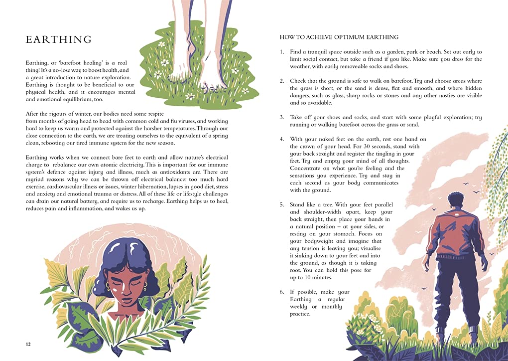 The cover of 'The Wild Handbook' featuring a colorful illustration of plants, animals, and natural elements, with the title and author's name displayed.