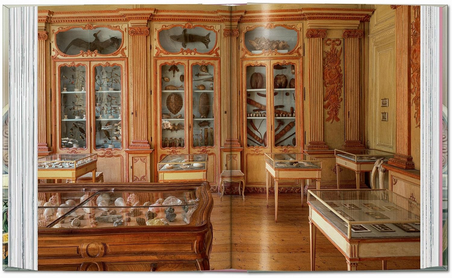 Dive into treasures, universal knowledge, and beauty in this collection of curiosities from Massimo Listri. Cabinets of curiosities were extremely popular in the 16th and 17th centuries. This takes the reader through the world's collections. Hardcover Multilingual Edition -- English, German, and French 447 pages