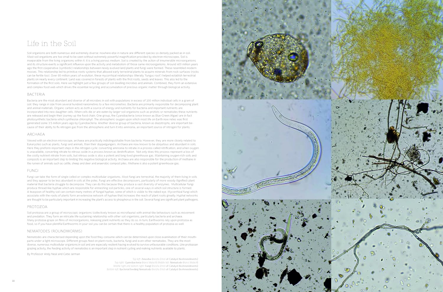 Soil To Table is a celebration of soil and its connection to the food we eat. This book by The Land Gardeners is a collection of essays, recipes, and teachings on soil and food. This book shows how to care for your soil while Lulu Cox shares her favorite recipes for cooking. 256 pages 10.3" x 1.3" x 13.3"