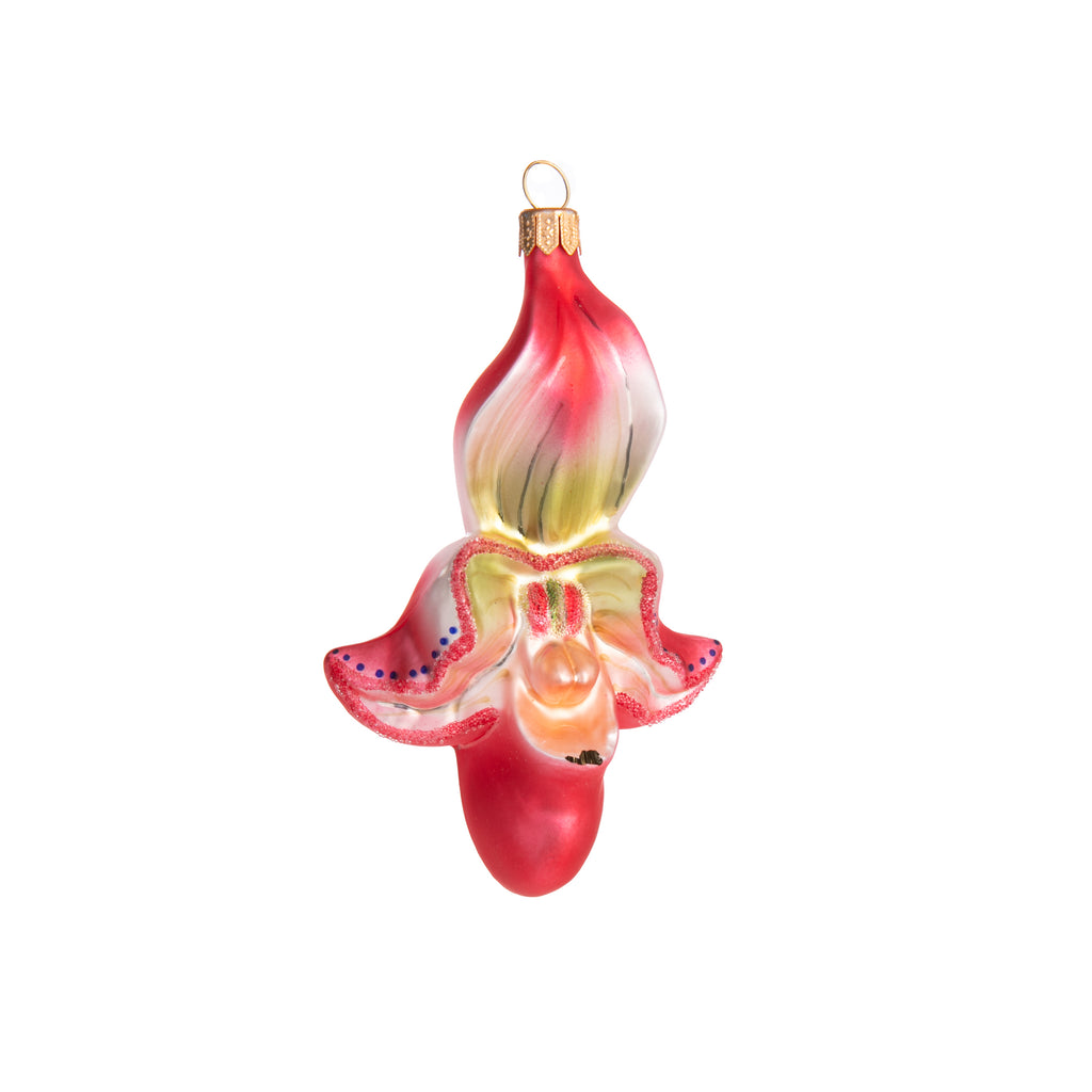 Enjoy the beauty of lady slipper orchids with this glass ornament. Finished with a frosted detail.  In 3 different colors, this ornament is perfect to decorate your holiday tree, or simply to hang a little orchid opulence anywhere in your home. Dimensions: approx. 5" x 3" x 2"